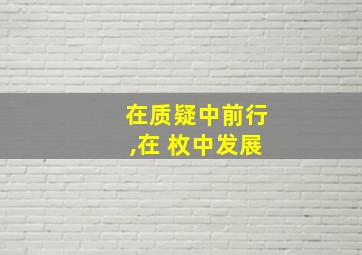 在质疑中前行,在 枚中发展